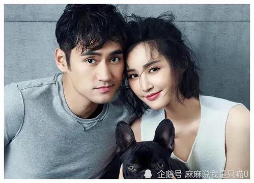 娱乐圈吃瓜爆料视频号,吃瓜爆料视频号带你探秘明星幕后故事